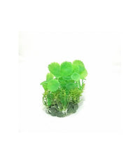 Thumbnail for Sea Star Aquarium Decoration - Artificial Plant - PLT454M[Length - 20cm]