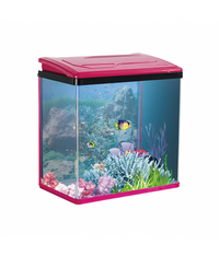 Thumbnail for Karis PY-Series Aquarium 235 x 160 x 280mm[Color - Maroon]