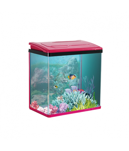 Karis PY-Series Aquarium 285 x 180 x 300mm[Color - Pink]