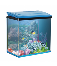 Thumbnail for Karis PY-Series Aquarium 480 x 260 x 450mm[Color - Blue]