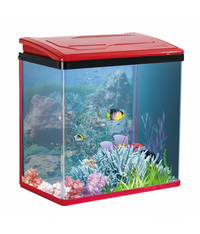 Karis PY-Series Aquarium 480 x 260 x 450mm[Color - Maroon]