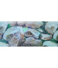 Thumbnail for KW Zone Aquarium Backscreen (Picture) 12