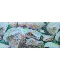 KW Zone Aquarium Backscreen (Picture) 12