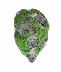 Thumbnail for KW Zone Dophin Floating Rock Aquarium Decoration, 13x8x17cm (L)