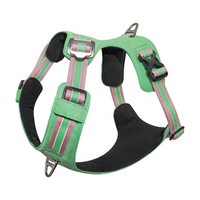 Thumbnail for DOCO® VERTEX Reflective Ultralight Mesh Harness X.Large [Neck 58-69cm;Chest 72]-Salt Lake