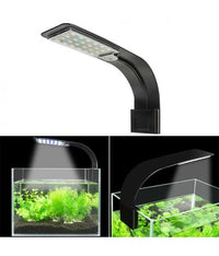 Thumbnail for Roxin Led Top Light 10W Black Shell-White Light -X5