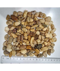 Thumbnail for Natural Color Aquarium Stone 10 kg (9-12mm)