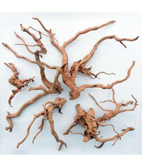 Thumbnail for Natural Color Driftwood for Aquarium- 20-40cm, (kg)