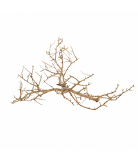 Natural Color Aquarium Decorative Natural Driftwood- 10-30cm (kg)