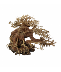 Natural Color Aquarium Decorative Natural Bonsai Driftwood Tree- 25-30cm (pc)