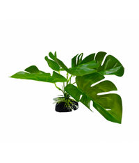 Thumbnail for Yusee Aquarium Decoration - Artificial Plant - YM-5819