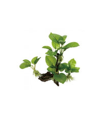 Thumbnail for Yusee Aquarium Decoration [2 Pcs] - Artificial Plant - YS-1948[Dimension - 15.5 x 8.5 x 19.5cm]