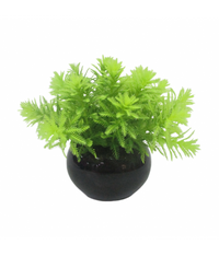 Thumbnail for Yusee Aquarium Decoration - Artificial Plant - YS-232207 (H:13-15cm)