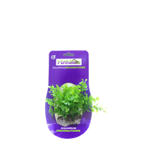 Thumbnail for Yusee Aquarium Decoration - Artificial Plant -YS-92109[Length - 10-12cm]