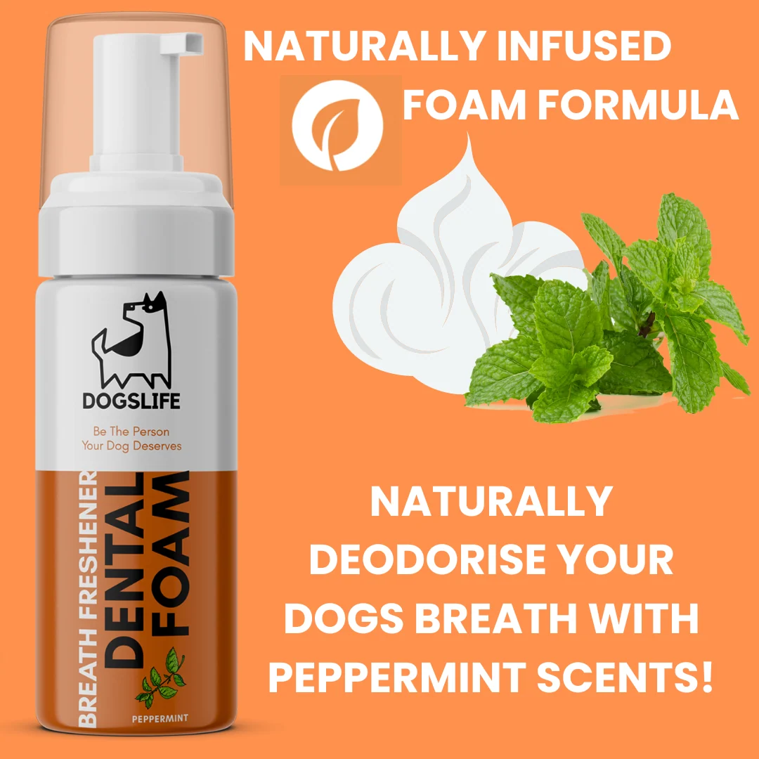 Dogslife Breath Freshener Dog Dental Foam 150ml - 150ml