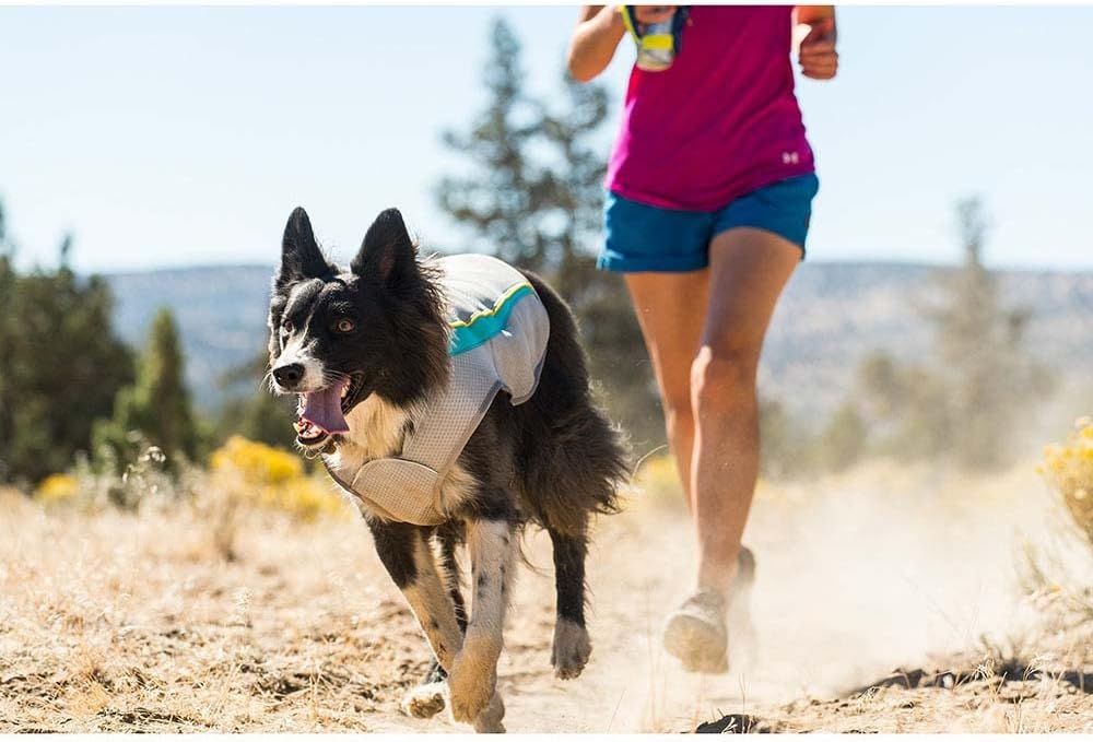 Ruffwear Swamp Cooler Cooling Dog Vest - Blue X-SMALL