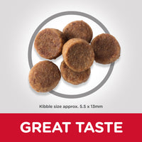Thumbnail for Hill’s Science Plan Large Breed Puppy Food With Chicken (2.5kg) (EXP: 10.25)