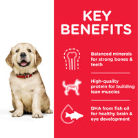 Thumbnail for Hill’s Science Plan Large Breed Puppy Food With Chicken (2.5kg) (EXP: 10.25)