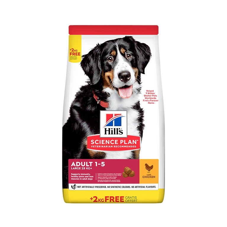 Hill’s Science Plan Large Breed Adult Dog Food With Chicken BONUS BAG (12KG + 2KG FREE)