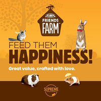 Tiny Friends Farm Russel Rabbit Fruities Small Animal Treats 120g - 120g