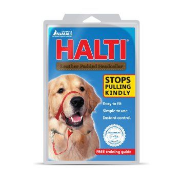 Flamingo Halti Dog Headcollar - 1