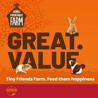 Tiny Friends Farm Russel Rabbit Fruities Small Animal Treats 120g - 120g