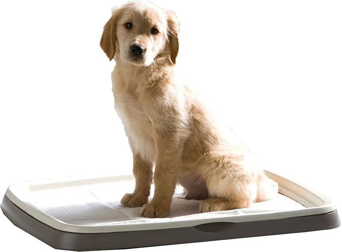 Savic Puppy Trainer Starter Kit - Large