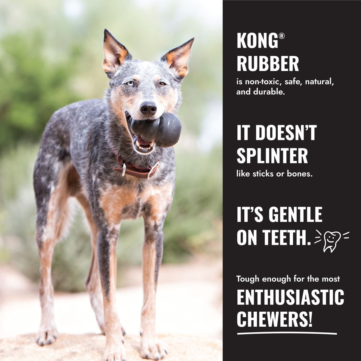 Kong Extreme Dog Toy - XX-L