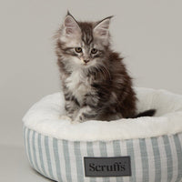 Scruffs Coastal Cat Bed - Green Small