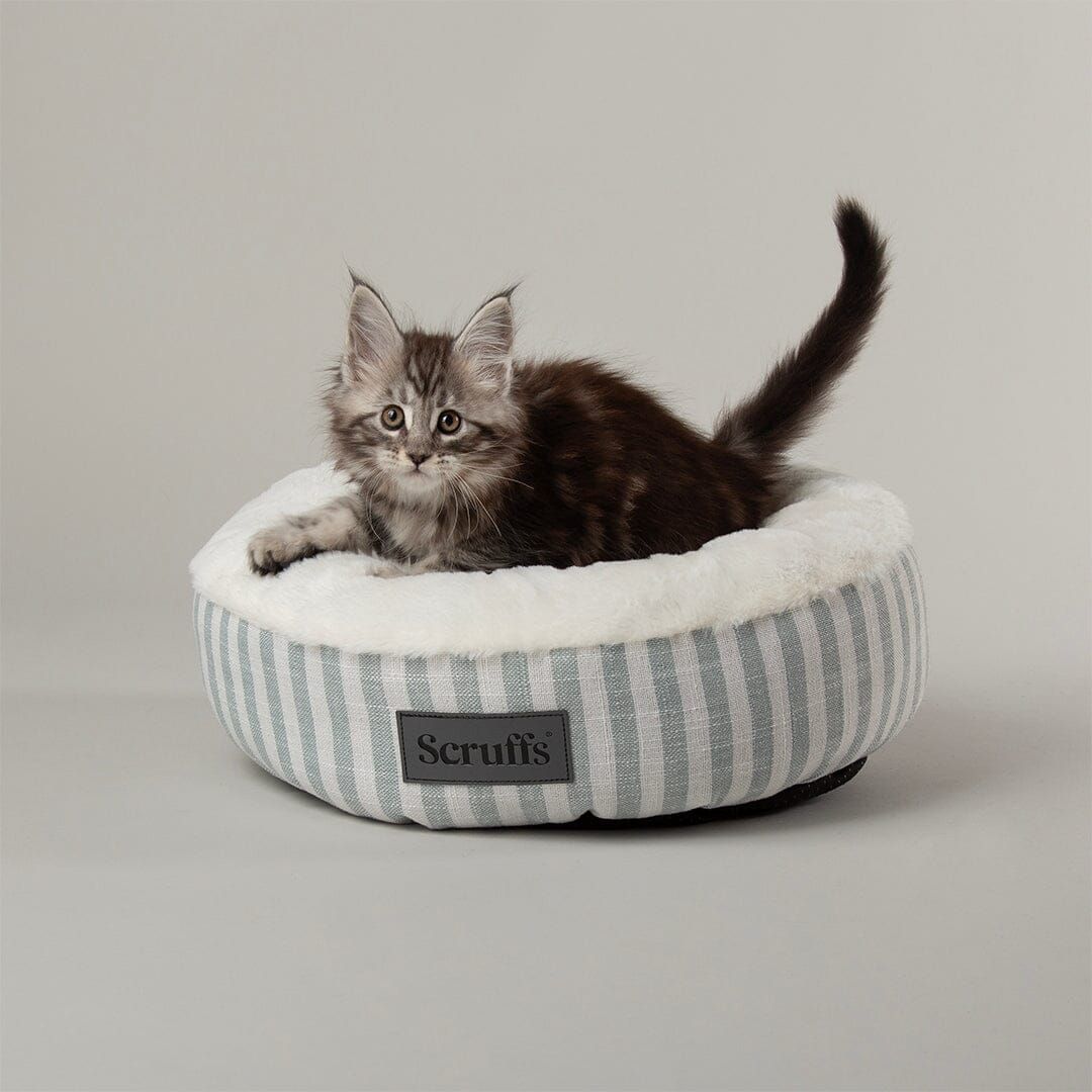 Scruffs Coastal Cat Bed - Green Small