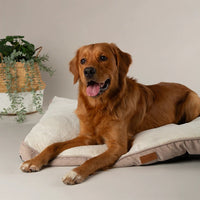 Scruffs Harmony Dog Mattress - Medium