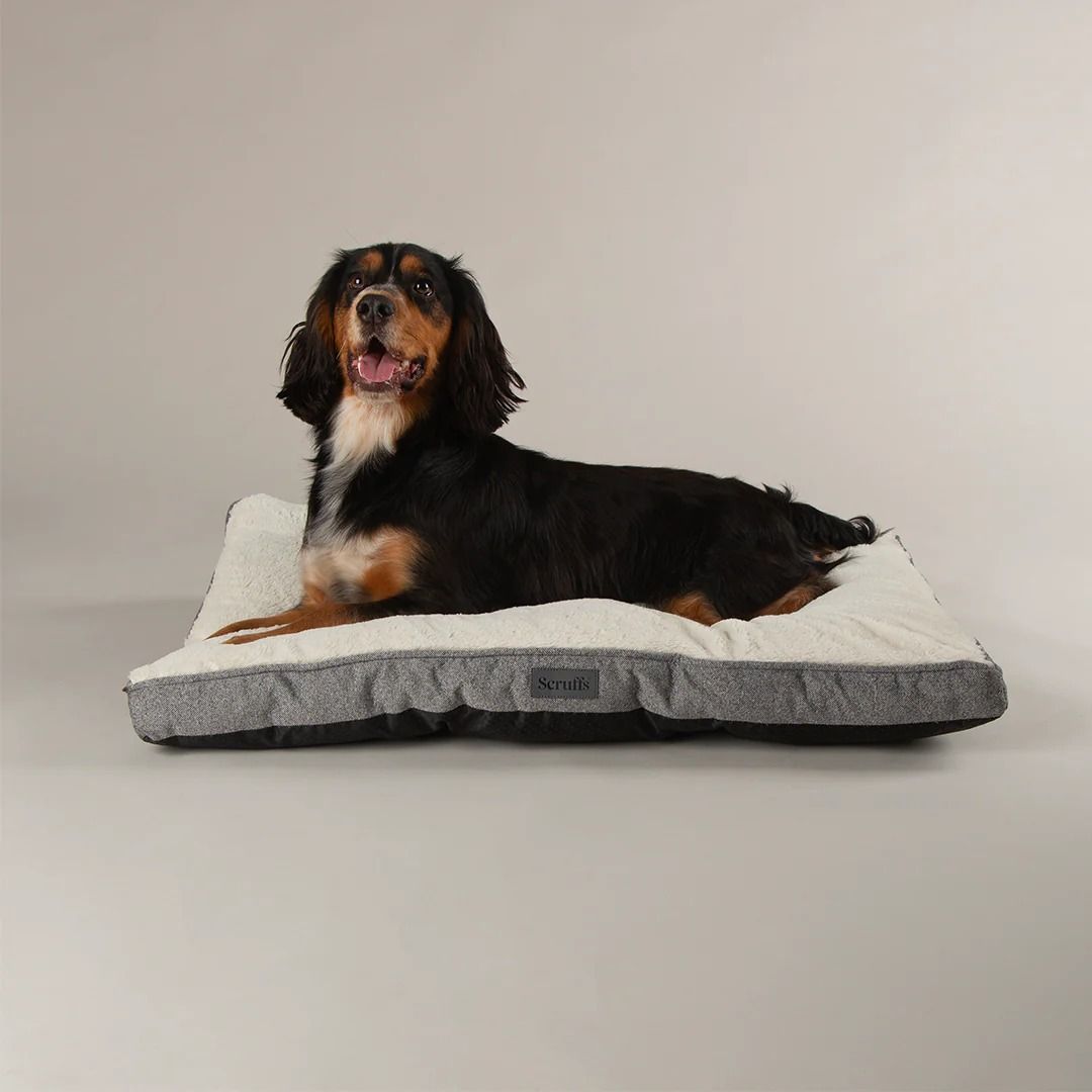Scruffs Harmony Dog Mattress - Medium