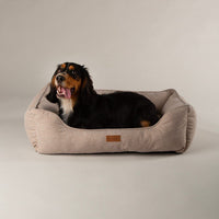 Scruffs Harmony Box Dog Bed - Tan X-Large