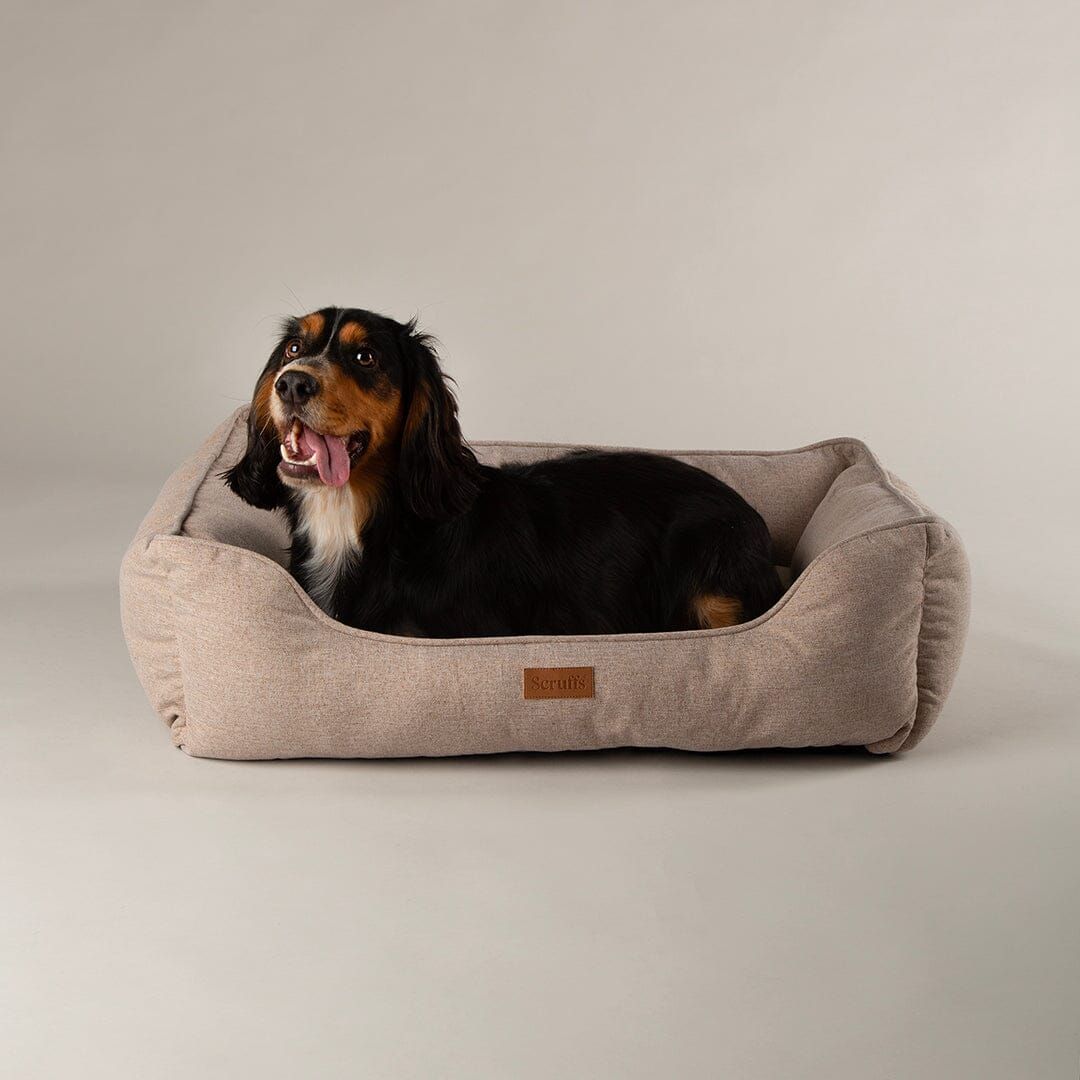 Scruffs Harmony Box Dog Bed - Tan Large