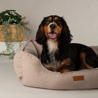 Scruffs Harmony Box Dog Bed - Tan Medium