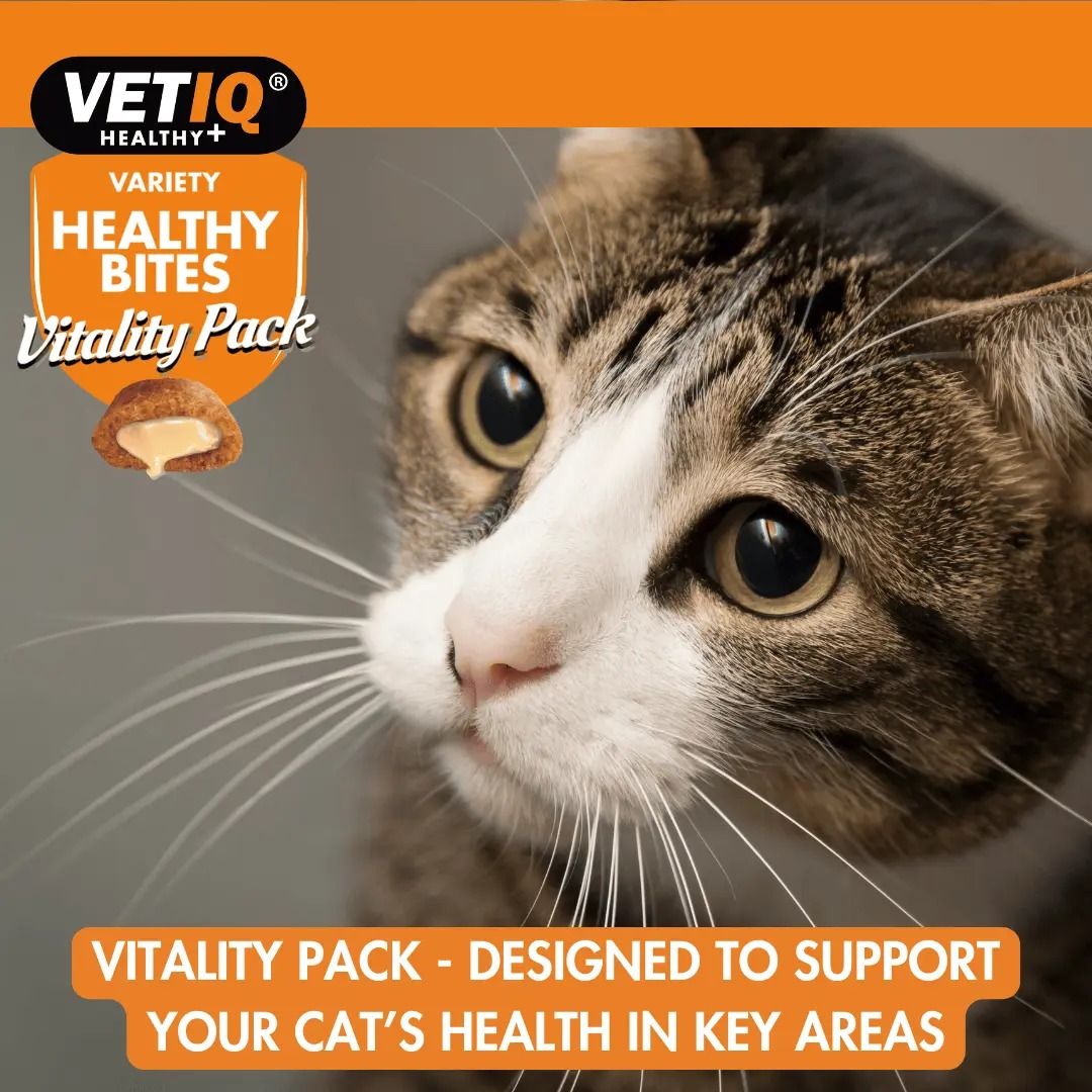 VETIQ Healthy Bites Variety Vitality Pack Cat Treats 4 x 65g -