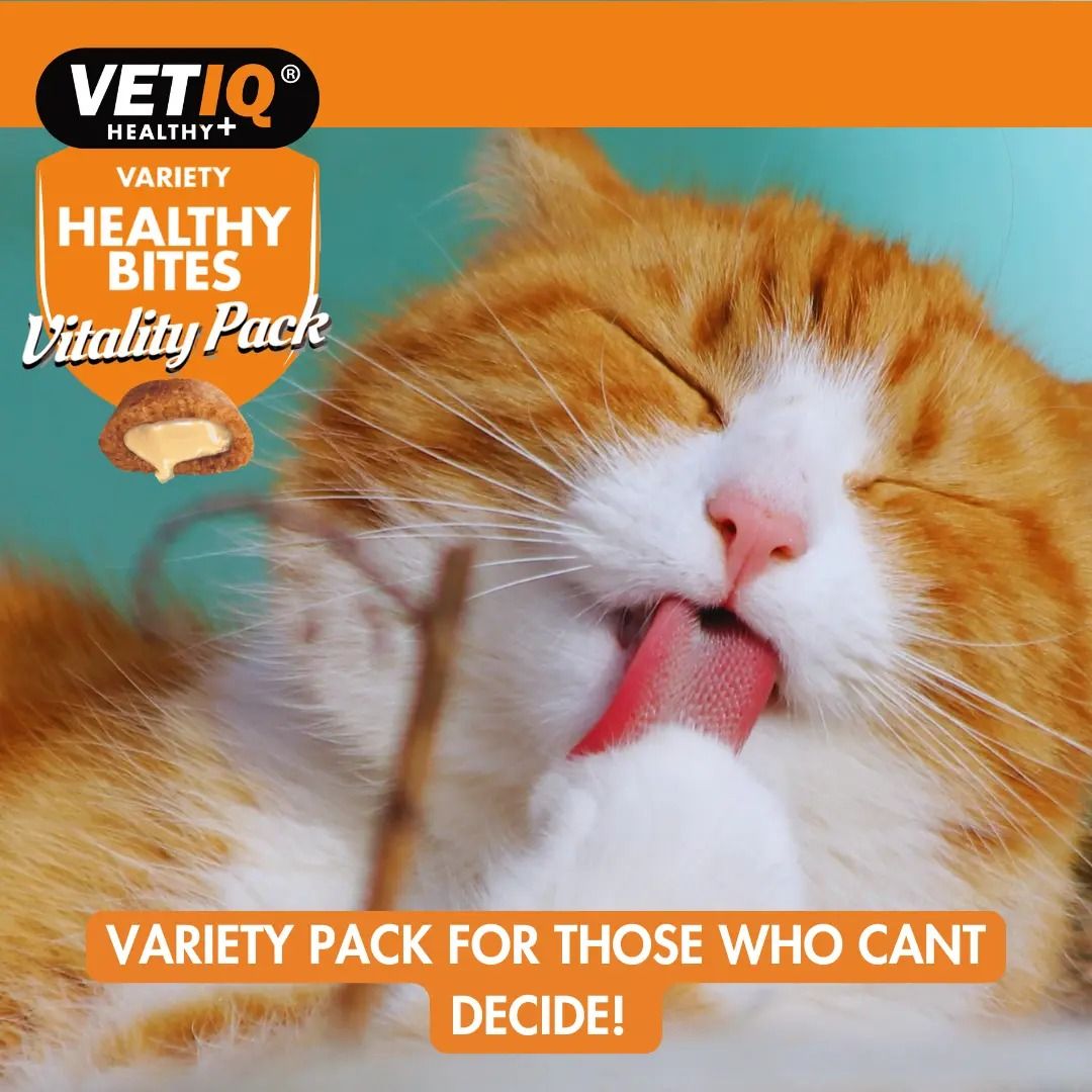 VETIQ Healthy Bites Variety Vitality Pack Cat Treats 4 x 65g -