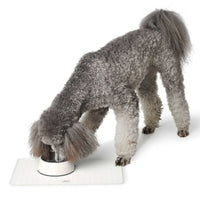 Hunter Selection Foldable Food Bowl Base 50x30cm - Transparent