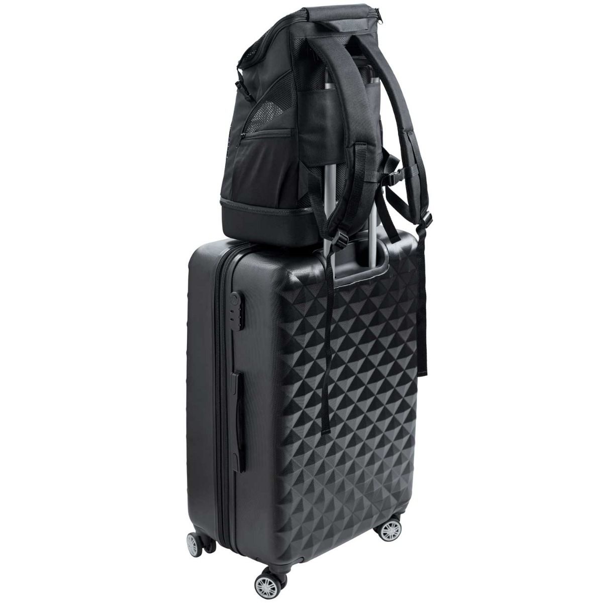 Hunter Flight Bag & Backpack - Black