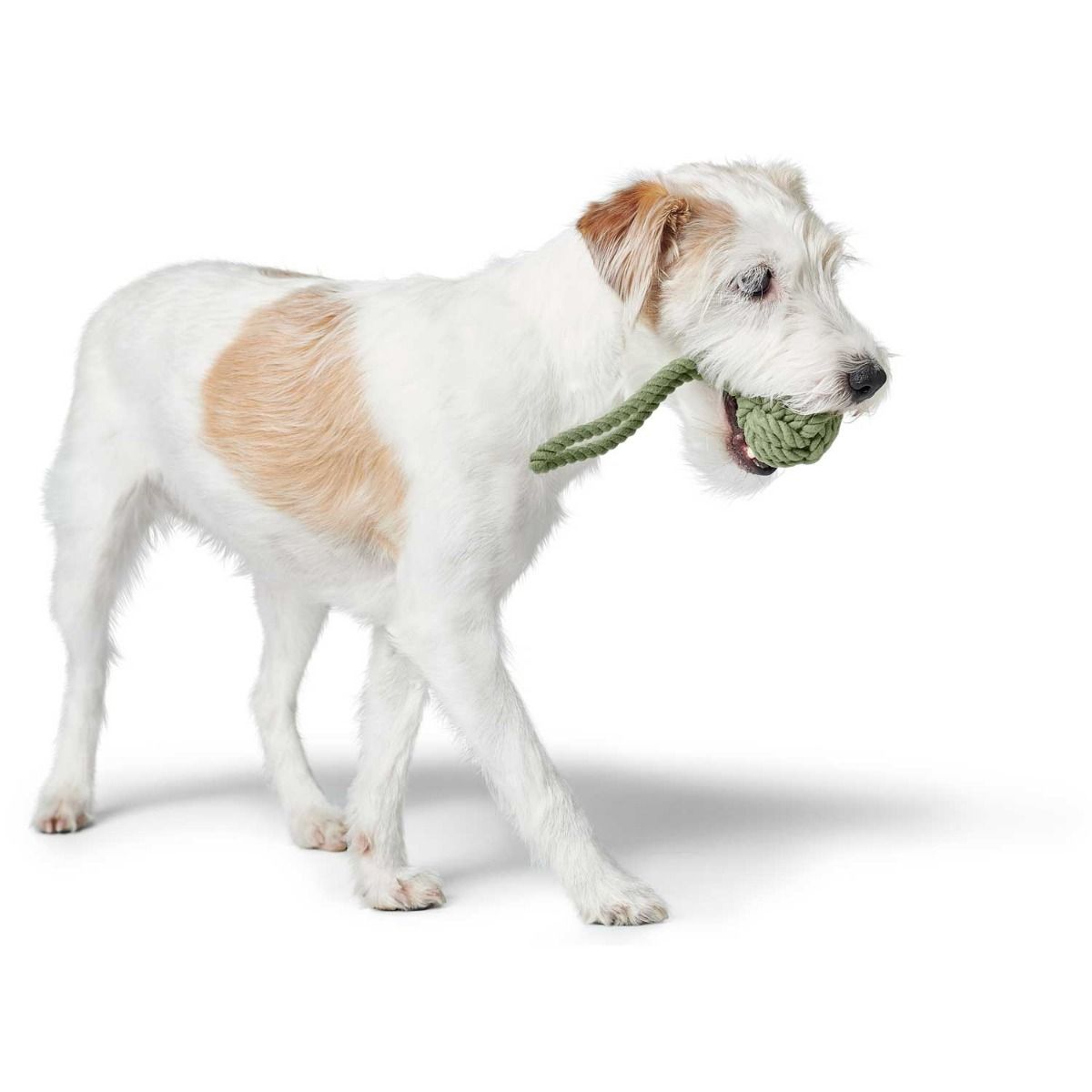 Hunter Inari Ball with Handloop Dog Toy - Green 6CM