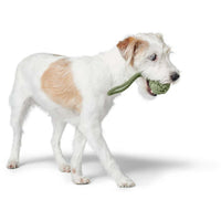 Hunter Inari Ball with Handloop Dog Toy - Green 6CM