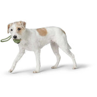 Hunter Inari Ball with Handloop Dog Toy - Green 6CM