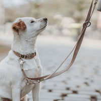 Hunter Inari Adjustable Training Dog Leash - Beige 20/200