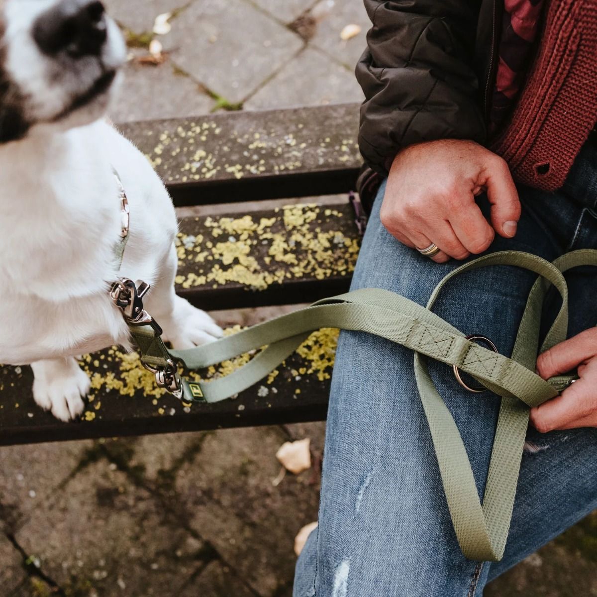 Hunter Inari Adjustable Training Dog Leash - Pastel Green 25/200