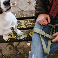 Hunter Inari Adjustable Training Dog Leash - Pastel Green 25/200
