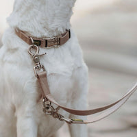 Hunter Inari Vario Basic Alu-Strong Dog Collar - Beige Large