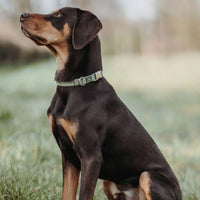 Hunter Inari Vario Basic Alu-Strong Dog Collar - Pastel Green Large
