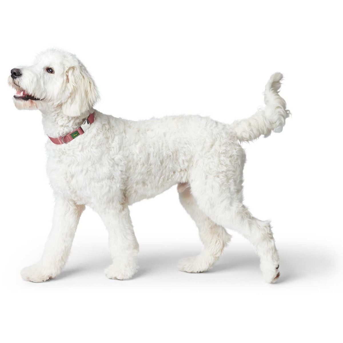 Hunter Inari Vario Basic Alu-Strong Dog Collar - Pastel Red Large