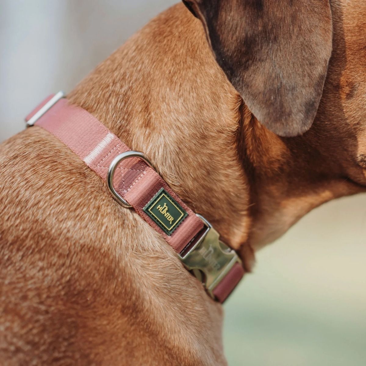 Hunter Inari Vario Basic Alu-Strong Dog Collar - Pastel Red Large