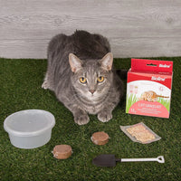 Bioline Catgrass Kit 12g[Weight - 12g, Dimension - 5.4 x 13.4 x 12.2cm]